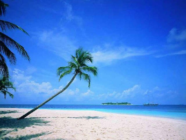 South India tour taxi service