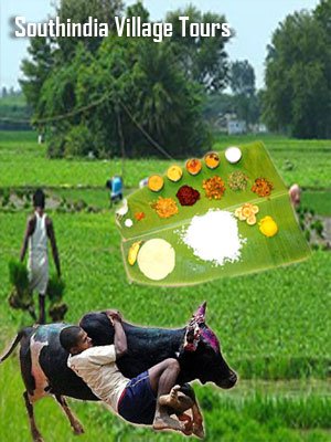 south india village tours