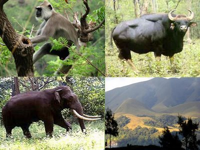 South India tour taxi service,tour car rentals in Chennai southindia,southIndia tourism transport service,ponicherry taxi,Chennai to Pondicherry  taxi,car hire in southindia tours