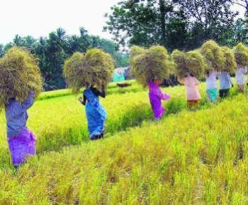 South India Tourism Packages, Kerala tourism, South india travel agent, Karnataka travel package, Tamilnadu travel package, Tamilnadu travel.